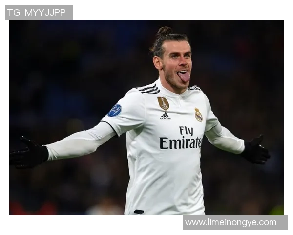 威尔士足球球星荣耀与奋斗历程展现绿茵传奇故事