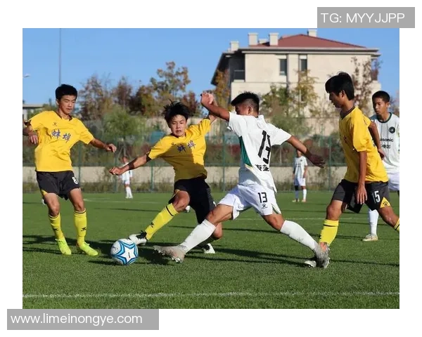 足球巨星心声揭秘：从球场到生活的真实故事与心路历程