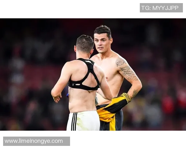 2025年北美洲足球球星身价榜前十名全解析