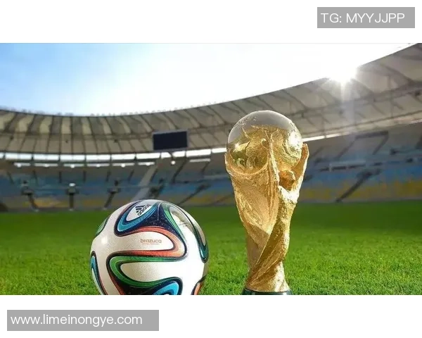 足球界鲜为人知却才华横溢的冷门球星揭秘与传奇故事